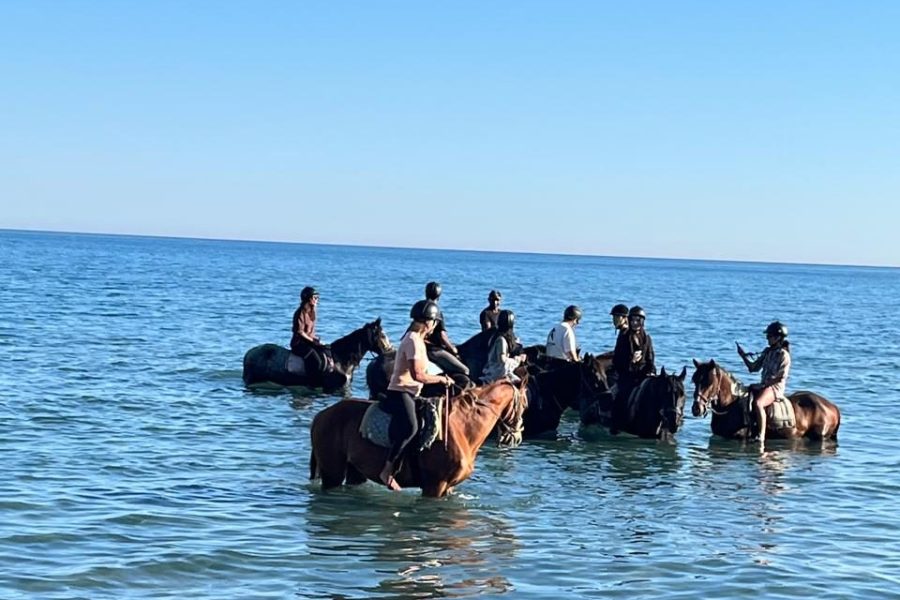A Horse Riding Experience in Zakynthos — Hills, Trails & a Beach Finish