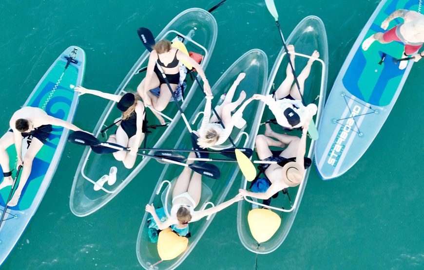 Paddle with the Turtles — A Transparent Kayak Experience