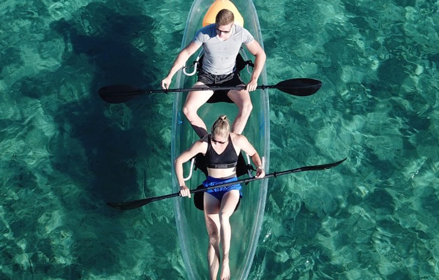 Paddle with the Turtles — A Transparent Kayak Experience