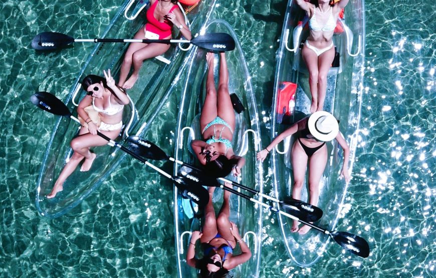 Paddle with the Turtles — A Transparent Kayak Experience