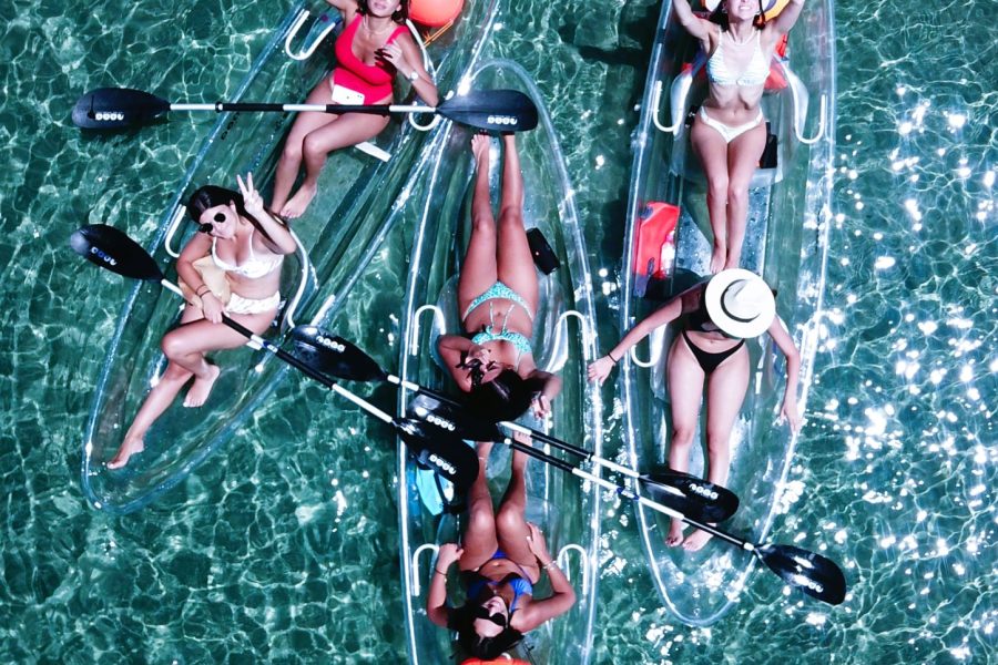 Paddle with the Turtles — A Transparent Kayak Experience