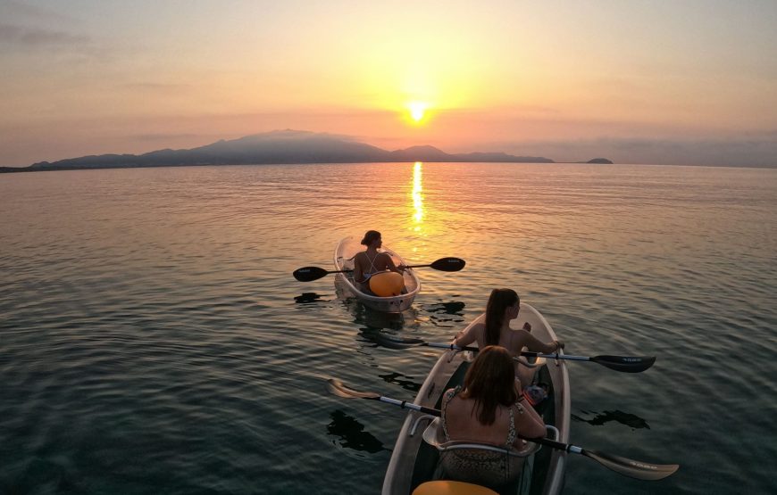 Paddle with the Turtles — A Transparent Kayak Experience